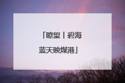瞭望丨碧海蓝天映煤港