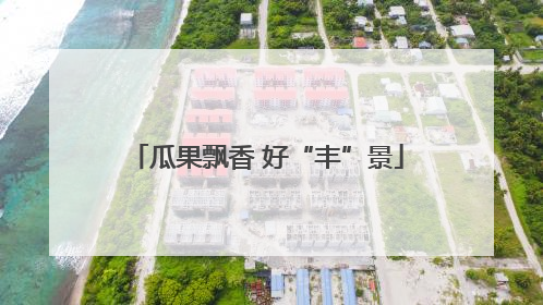 瓜果飘香 好“丰”景