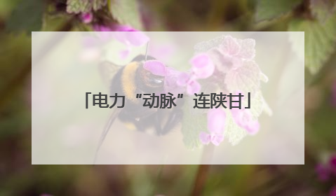 电力“动脉”连陕甘