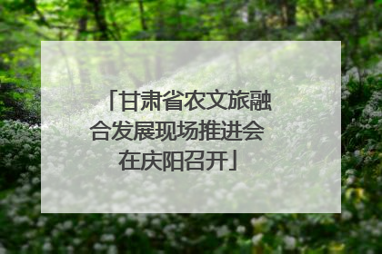 甘肃省农文旅融合发展现场推进会在庆阳召开