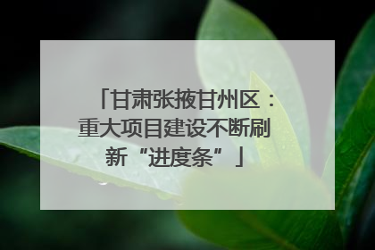 甘肃张掖甘州区：重大项目建设不断刷新“进度条”