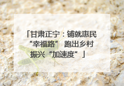 甘肃正宁：铺就惠民“幸福路” 跑出乡村振兴“加速度”