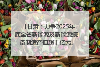 甘肃：力争2025年底全省新能源及新能源装备制造产值超千亿元