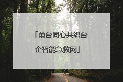 甬台同心共织台企智能急救网