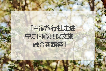 百家旅行社走进宁夏同心共探文旅融合新路径