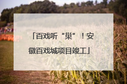 百戏听“巢”！安徽百戏城项目竣工