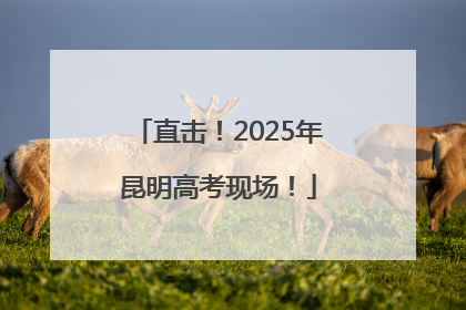 直击！2025年昆明高考现场！