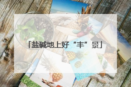盐碱地上好“丰”景