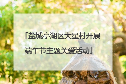 盐城亭湖区大星村开展端午节主题关爱活动