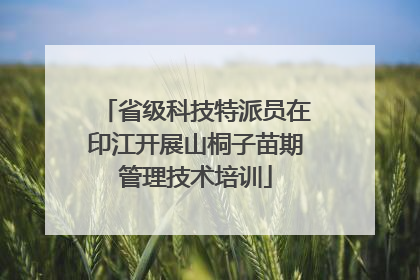 省级科技特派员在印江开展山桐子苗期管理技术培训