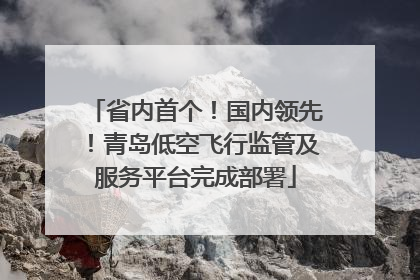 省内首个！国内领先！青岛低空飞行监管及服务平台完成部署