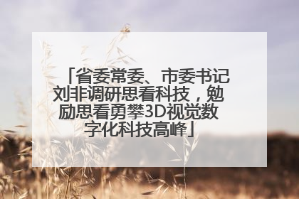省委常委、市委书记刘非调研思看科技，勉励思看勇攀3D视觉数字化科技高峰
