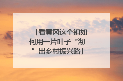 看黄冈这个镇如何用一片叶子“沏”出乡村振兴路