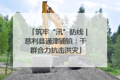 筑牢“汛”防线｜慈利县通津铺镇：干群合力抗击洪灾