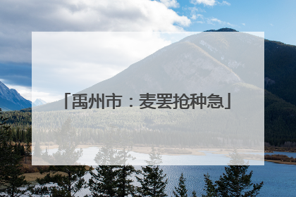 禹州市：麦罢抢种急