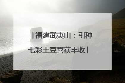福建武夷山：引种七彩土豆喜获丰收