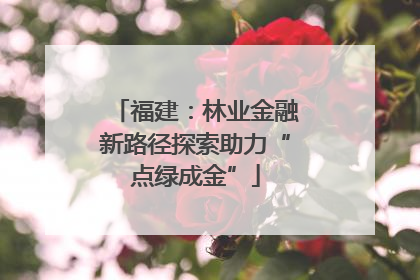 福建：林业金融新路径探索助力“点绿成金”