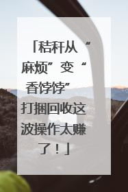 秸秆从“麻烦”变“香饽饽” 打捆回收这波操作太赚了！