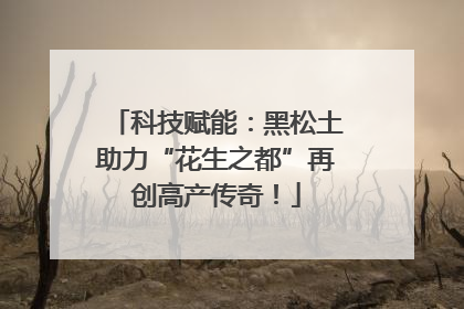 科技赋能：黑松土助力“花生之都”再创高产传奇！