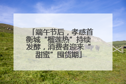 端午节后，孝感首衡城“榴莲热”持续发酵，消费者迎来“甜蜜”囤货期