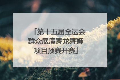 第十五届全运会群众展演舞龙舞狮项目预赛开赛