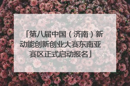 第八届中国（济南）新动能创新创业大赛东南亚赛区正式启动报名