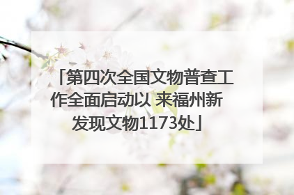 第四次全国文物普查工作全面启动以 来福州新发现文物1173处