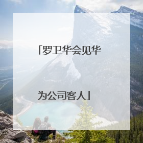 罗卫华会见华为公司客人
