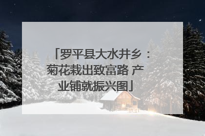 罗平县大水井乡：菊花栽出致富路 产业铺就振兴图