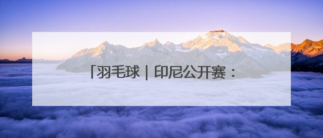 羽毛球｜印尼公开赛：王正行男单首轮晋级