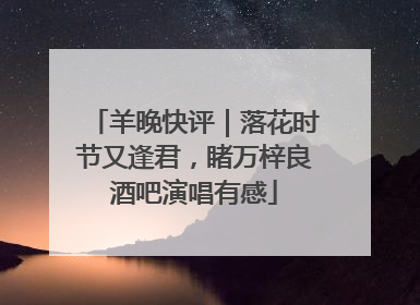 羊晚快评｜落花时节又逢君，睹万梓良酒吧演唱有感