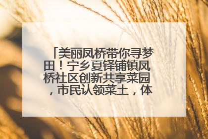美丽凤桥带你寻梦田！宁乡夏铎铺镇凤桥社区创新共享菜园，市民认领菜土，体验耕种收获乐趣