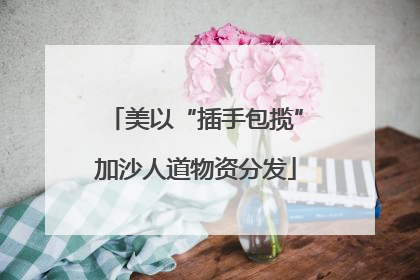 美以“插手包揽”加沙人道物资分发