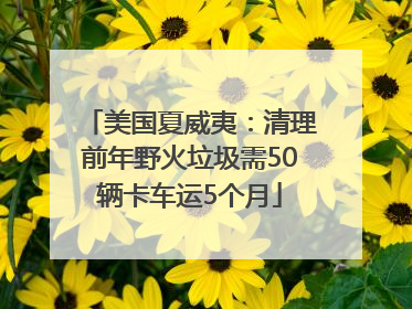 美国夏威夷：清理前年野火垃圾需50辆卡车运5个月