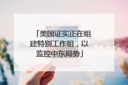 美国证实正在组建特别工作组，以监控中东局势