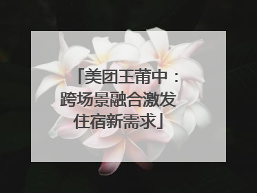 美团王莆中：跨场景融合激发住宿新需求