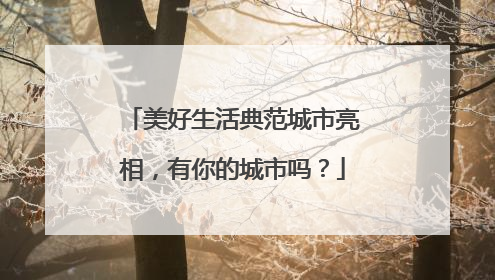 美好生活典范城市亮相，有你的城市吗？