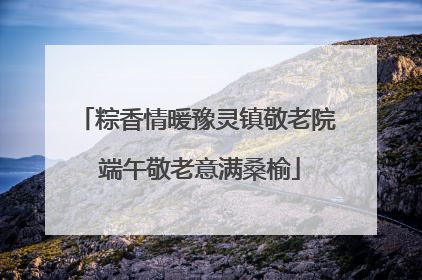 粽香情暖豫灵镇敬老院 端午敬老意满桑榆