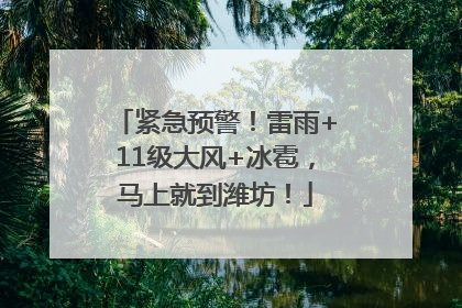 紧急预警！雷雨+11级大风+冰雹，马上就到潍坊！
