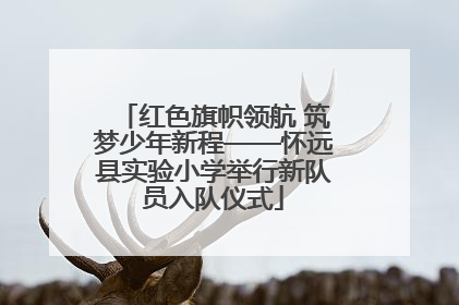 红色旗帜领航 筑梦少年新程——怀远县实验小学举行新队员入队仪式