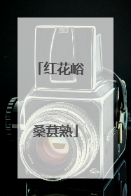 红花峪 桑葚熟