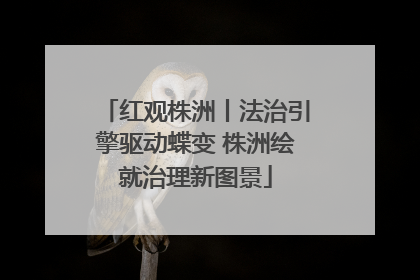 红观株洲丨法治引擎驱动蝶变 株洲绘就治理新图景
