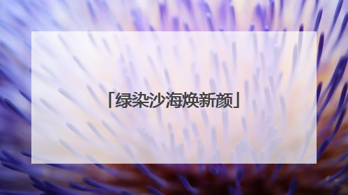 绿染沙海焕新颜