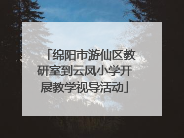 绵阳市游仙区教研室到云凤小学开展教学视导活动