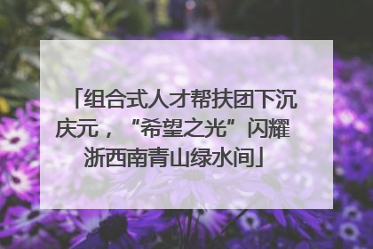 组合式人才帮扶团下沉庆元，“希望之光”闪耀浙西南青山绿水间