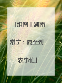 组图丨湖南常宁：夏至到 农事忙