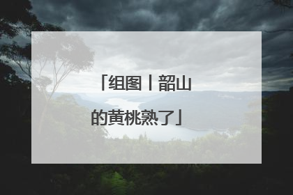 组图丨韶山的黄桃熟了