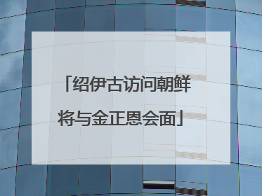 绍伊古访问朝鲜 将与金正恩会面
