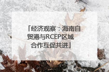 经济观察：海南自贸港与RCEP区域合作互促共进