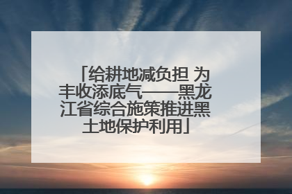 给耕地减负担 为丰收添底气——黑龙江省综合施策推进黑土地保护利用
